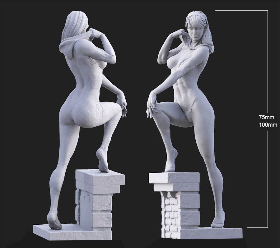 Resin Art Zelda - Наборы моделей из смолы 1/24 75